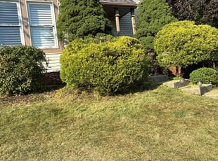 Pamela W.'s Bush Trimming service result