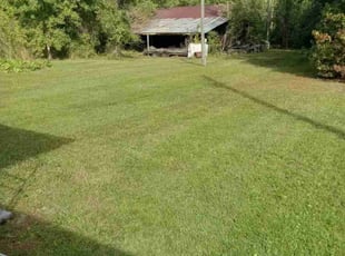 Anthony M.'s Lawn Care service result