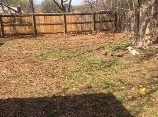 Cleanups by Paul Handley for Johnny L. in Bixby, OK