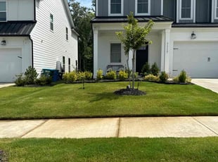 Lai Mee S.'s Lawn Mowing service result