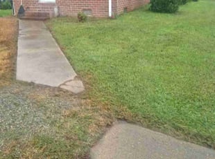 Bush Trimming by Lyman Whitaker for Cherika H. in Hampton, VA