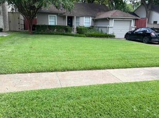Dominique J.'s Lawn Service service result
