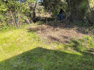 Cleanups by Thomas Patillo for Ju E. in Macon, GA