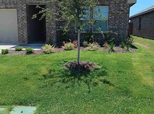 Mark N.'s Lawn Maintenance service result