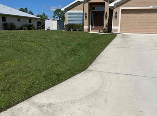 Vilma O.'s Lawn Mowing service result