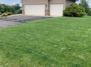 Beth A.'s Lawn Mowing service result