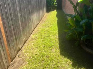 Leaf Removal by Louis Nelson for Crystal R. in Arlington, TX