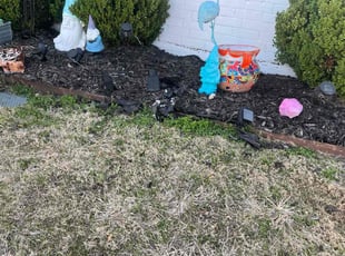 Weeding by Quentin Morgan for Tammy K. in Sanger, TX