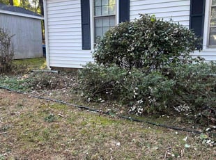Cleanups by Agustin Valle for Daniel S. in Charlotte, NC