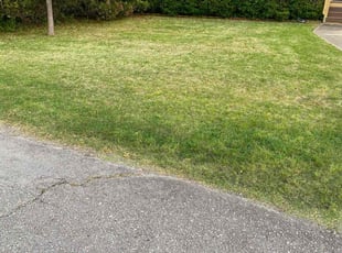 Landscaping by Maurice Pride for Walter B. in Sherwood, AR
