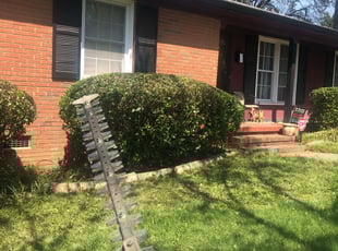 Bush Trimming by Juliocesar Alfaro for Ezelle S. in Charlotte, NC