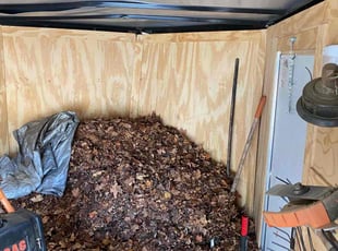 Leaf Removal by Daniel Milsap for Ashleigh B. in Charlotte, NC