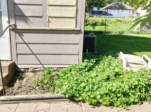Weeding by Alan Bjerke for John Y. in Minneapolis, MN