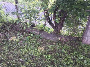 Cleanups by Walter Parker for Misty C. in Dayton, KY