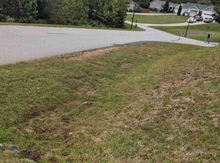 Bush Trimming by Shawn Davis for Dorislee L. in Asheville, NC