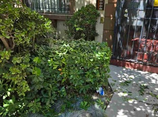 Brandon R.'s Bush Trimming service result