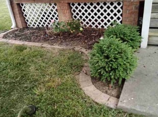Weeding by Willie Williams for Joshua N. in Williamsburg, VA
