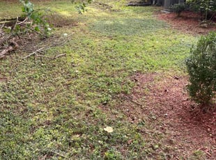 Leaf Removal by Cornelia Smith for Brandon J. in Decatur, GA