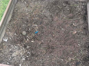 Cleanups by Heriberto Lopez for Gilberto S. in Corpus Christi, TX