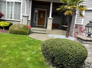 Bush Trimming by Courtney Roberts for Kevin G. in Puyallup, WA