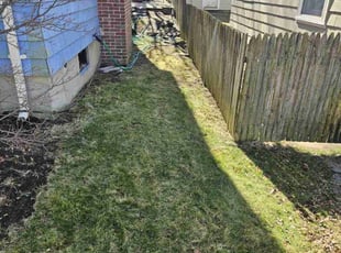 Leaf Removal by David Daye for Barry B. in Providence, RI