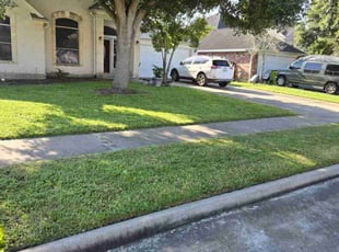 Nyesha M.'s Grass Cutting service result