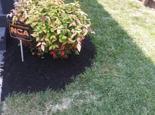 Mulching by Michael Knerr for Martha R. in Nashville, TN