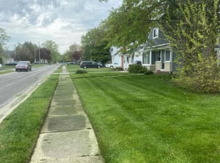 Charlene S.'s Lawn Service service result