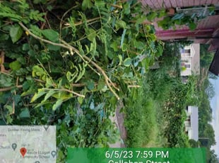 Bush Trimming by Mark Vel for Charles H. in Fort Worth, TX