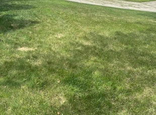 Leaf Removal by Lakeisha Henderson for Renita R. in Durham, NC