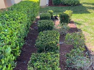 Weeding by Paul Bartholomew for Courtney S. in Palm Bay, FL