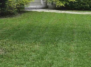 Anitra B.'s Lawn Care service result
