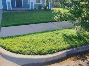Surujwatie R.'s Lawn Care service result