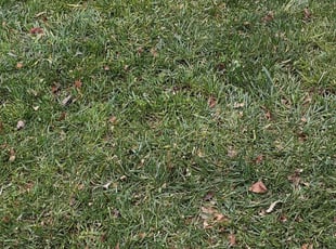 Cleanups by Amber Fuentes for Jason M. in North Potomac, MD