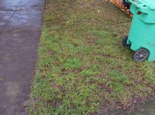 Cleanups by Brandon Hill for David L. in Portland, OR