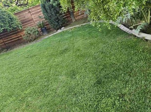 Monica G.'s Lawn Care service result