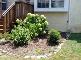 Cleanups by Zaire Herring for Vandana K. in Cherry Hill, NJ