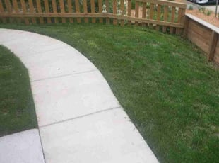 Aeration by Sahale Hammond for Roxanne B. in Washington, DC