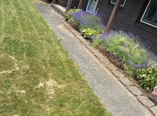 Michael B.'s Bush Trimming service result