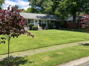 Stephen S.'s Grass Cutting service result