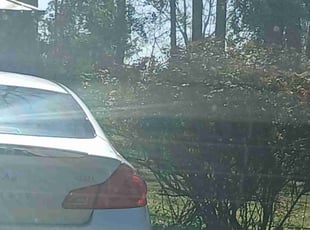 Bush Trimming by Eric Cotto for George B. in Lithonia, GA