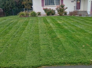 Justine C.'s Grass Cutting service result