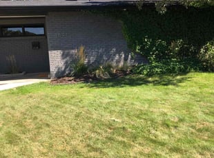 Cleanups by David Rordame for Rob w. in Salt Lake City, UT