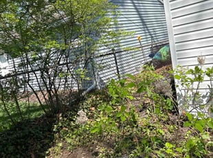 Leaf Removal by Kyle Yacko for Terry W. in Royal Oak, MI