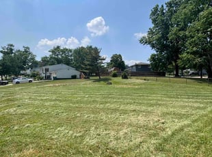 Sai C.'s Lawn Care service result