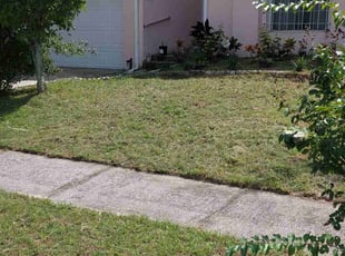 Rita W.'s Lawn Service service result