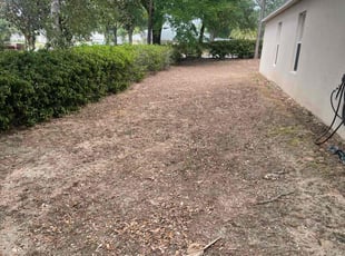 Leaf Removal by Jaylon Fair for Terry G. in Clermont, FL