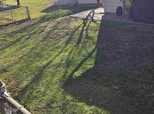 Leaf Removal by Rose Valle for Kosta K. in Alexandria, VA