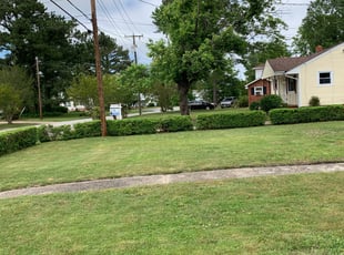 Bush Trimming by Taylor Dodson for Alisa E. in Portsmouth, VA