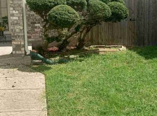 Bush Trimming by Terry Felo for Lisa S. in Harvey, LA